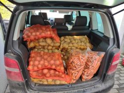 Social