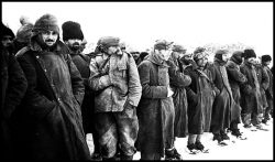 Ziua de 2 februarie 1943 reprezintă sfârşitul Bătăliei de la Stalingrad: Armata Română pierdea 156.000 de ostaşi - morţi, dispăruţi şi prizonieri