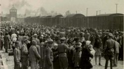 Holocaust