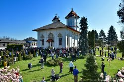 Mănăstirea Cernica