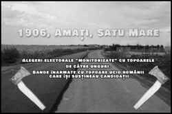 Amati, Satu-Mare