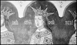 Stefanita VODA