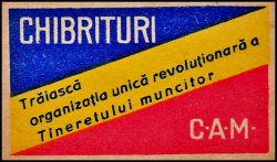 Tineretul Muncitor