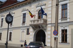 Primăria Carei