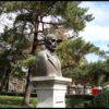Simion-Barnutiu-IASI