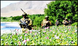 Armata romana in Afganistan