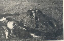 Gheorghe Şovăială şi Gelu Novac