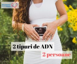 2 tipuri de ADN 2 persoane