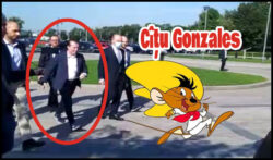 Citu-Gonzales