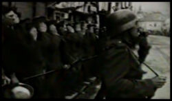 Cluj-1940-horthysti