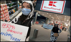 Kaufland Ferma Animalelor