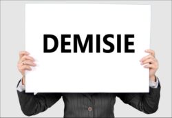 Demisie