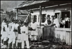 Nunta Nasaud 1935-D. Gusti