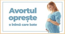 avortul opreste o inima