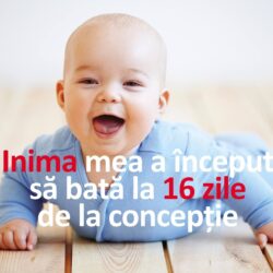 Pro viață