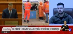 Ciucă și Zelenski
