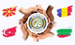 Erasmus