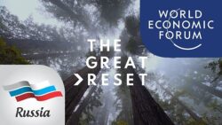 Reset