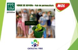 Verde de Govora