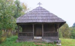 Biserica Pocruia