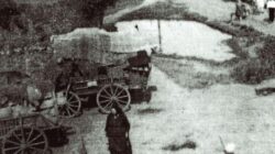 Deportari - Bărăgan