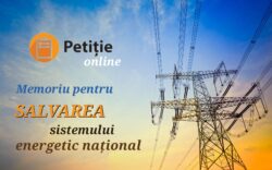 Petiție online