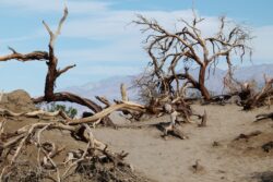 death-valley