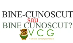 Vorbeste corect gramatical