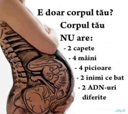 corpul meu, alegerea mea