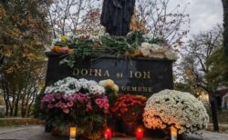 Ion și Doina Aldea Teodorovici