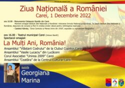 Afis de Ziua Nationala Primăria Carei-2022