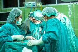 Doctori