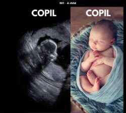 Copil