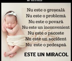 Miracol