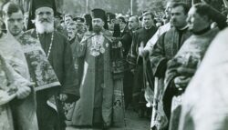 Mitropolitul Visarion Puiu