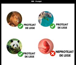 Protejat