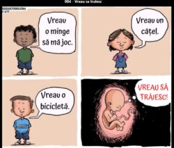Traiesc
