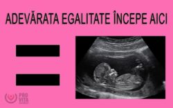egalitate pantece