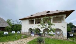 Gheorghe Tătărescu – un destin în fața istoriei - Curtișoara