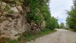 Drumul spre Arnota