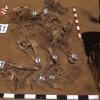 Materiale arheologice - rămășițe