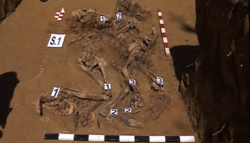 Materiale arheologice - rămășițe