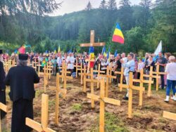 Mihai TÎRNOVEANU / Valea Uzului