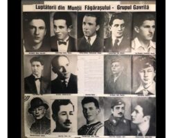 I Gavrila Ogoranu - Radio