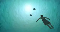 La tortue rouge ocean