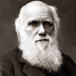 Darwin, Photo