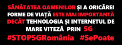 petitie2