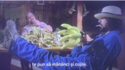 BRIGADA ANTIGANGSTER (1979)