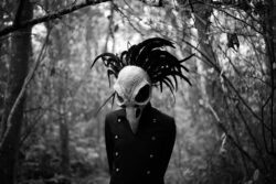 bird-skull /  Halloween