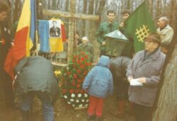 Fotodocument. Ogoranu la Tâncăbești